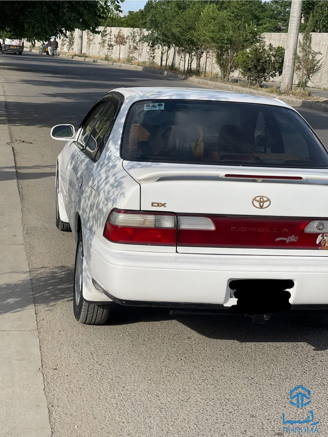 کرولا کانادایی