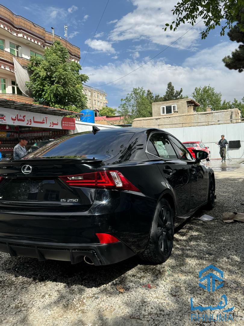 چوچه لکسس امر:یکا