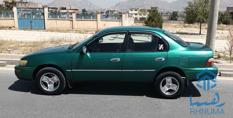 کرولا کانادایی
