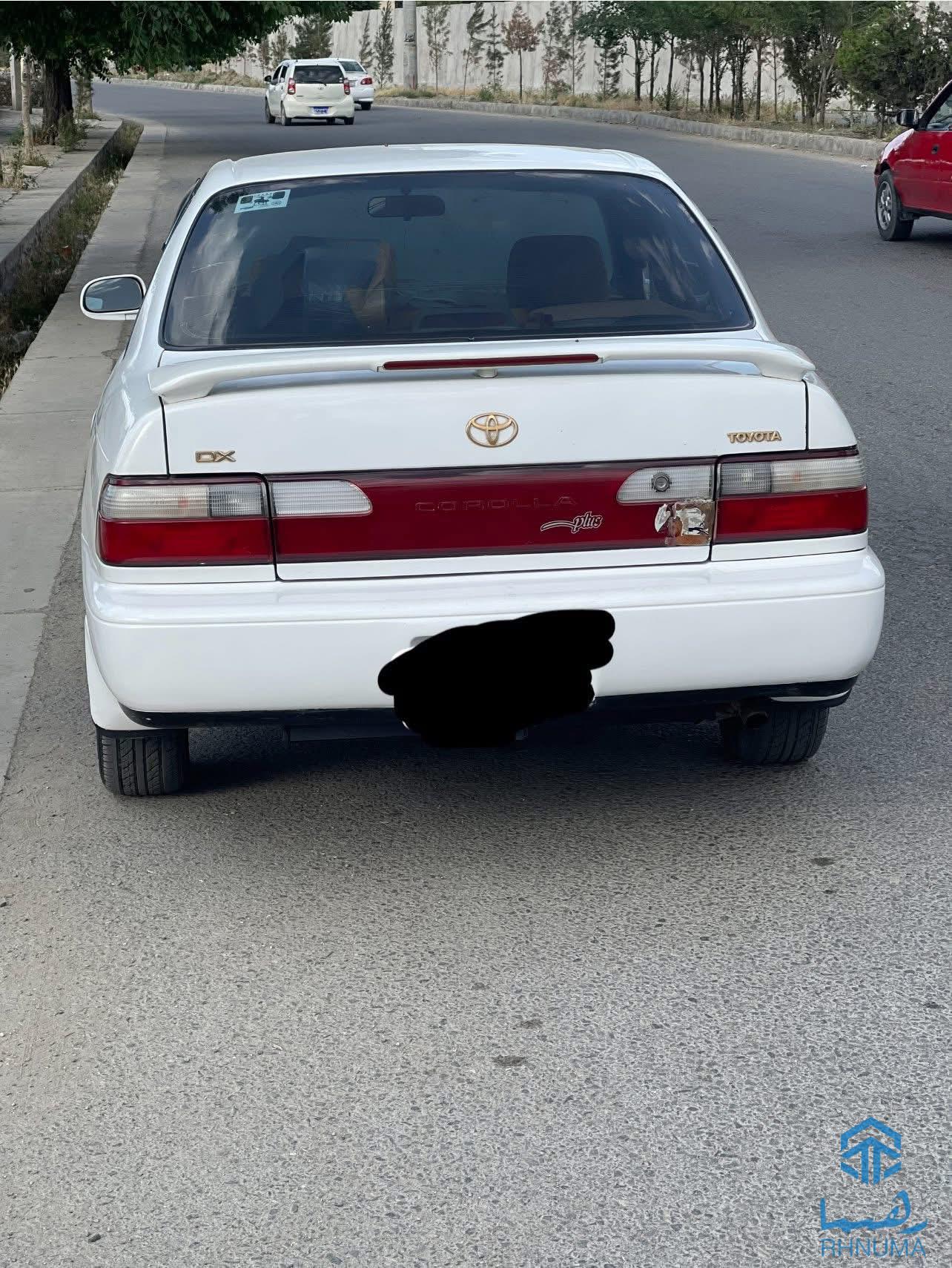 کرولا کانادایی