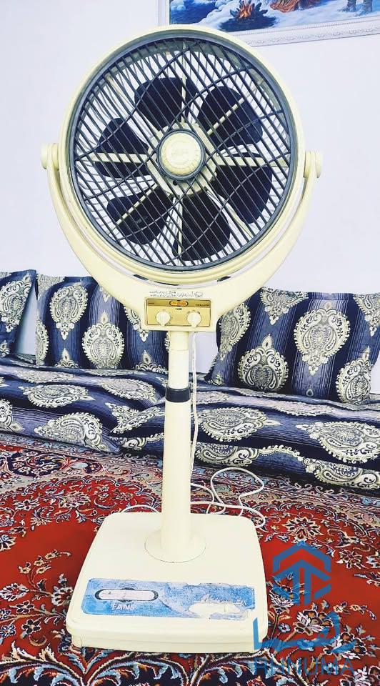یک عدد باد پکه اصلی