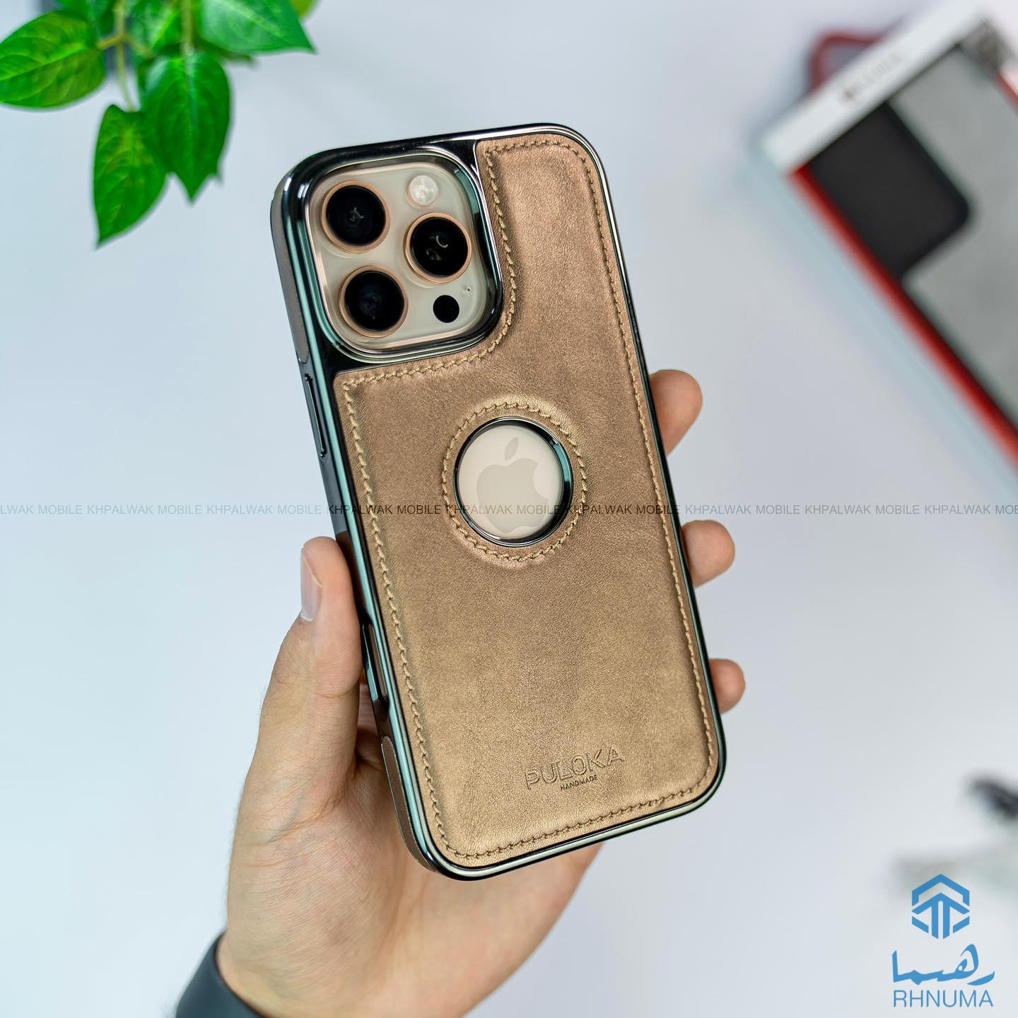 PULOKA_Case