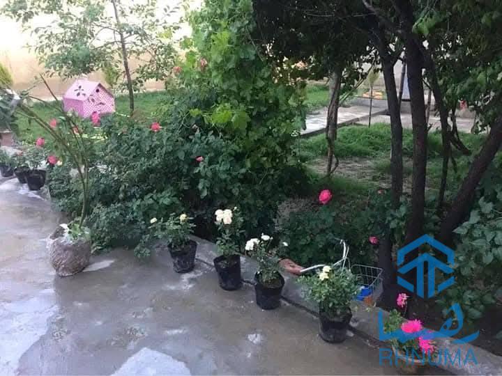 حویلی کرایی