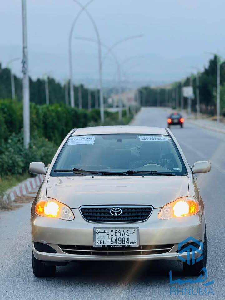 کرولا امریکایی نو وارد