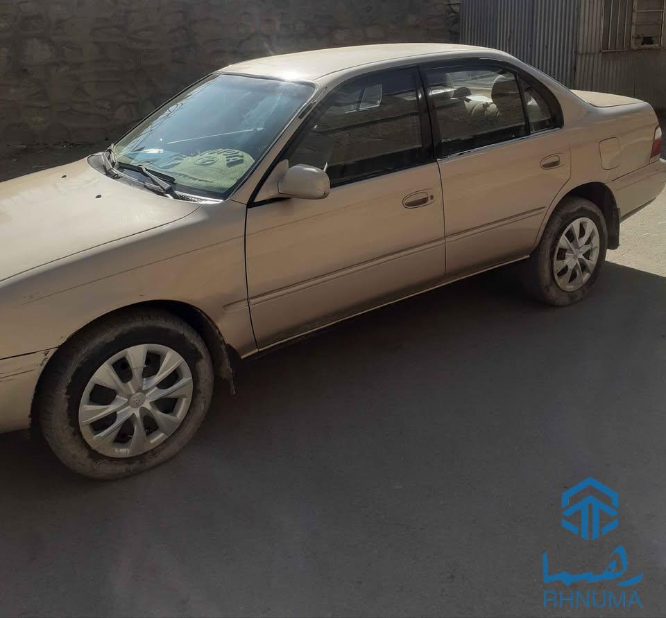 کانادایی