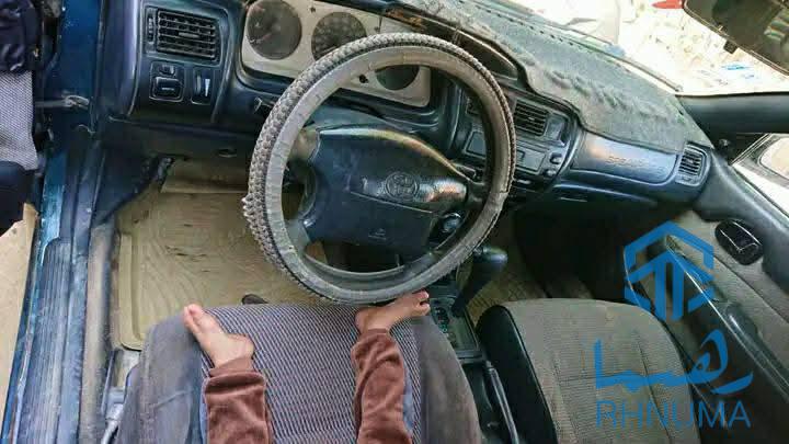 کرولای کانادایی خانگی