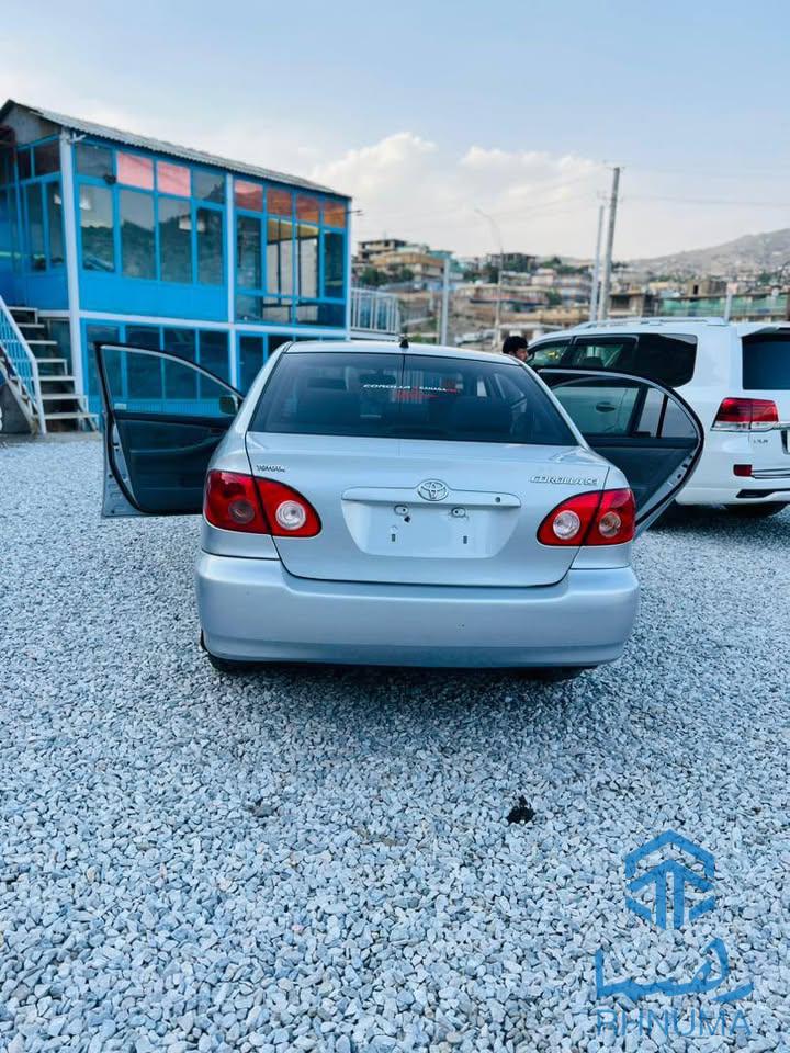 نوع تیوتا کرولای کانادایی