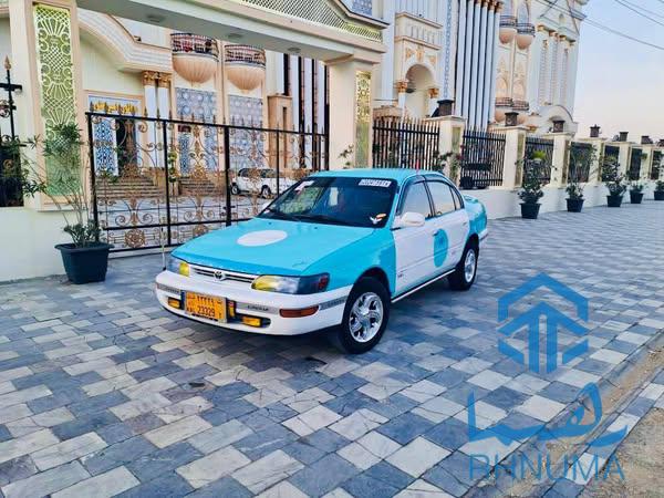 تیوتا کرولای کانادایی