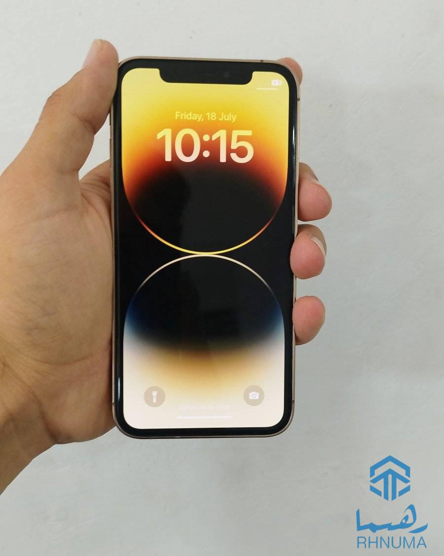 iPhone X