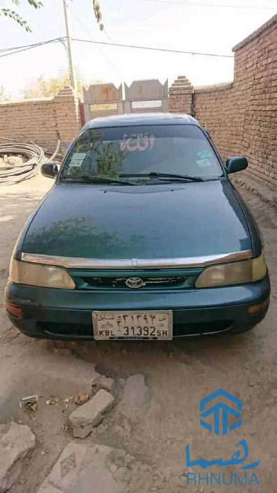 کرولای کانادایی خانگی