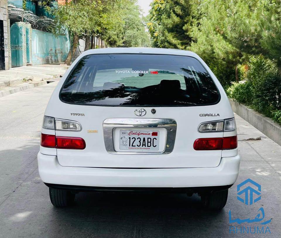 تویتا سرایچه جاپانی کمانی