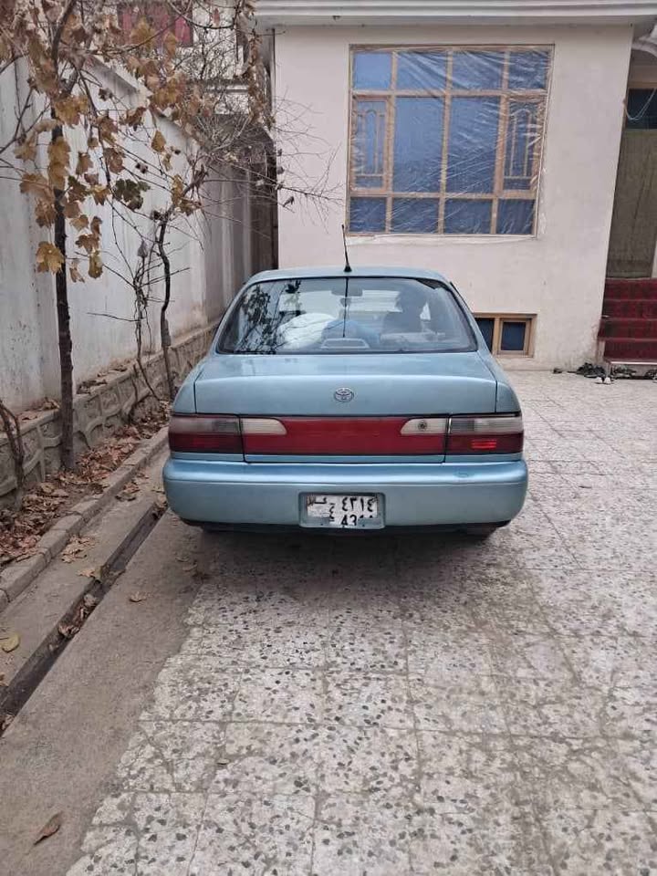 کرولای کانادایی