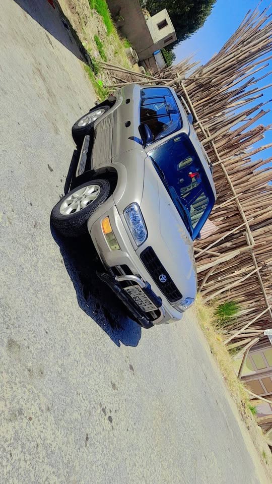 فروش و مالچه