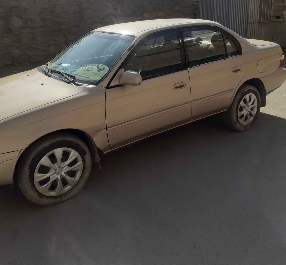کانادایی