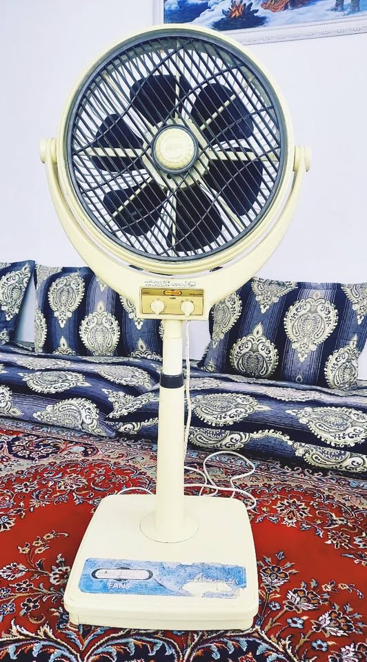 یک عدد باد پکه زمینی اصلی پاکستانی