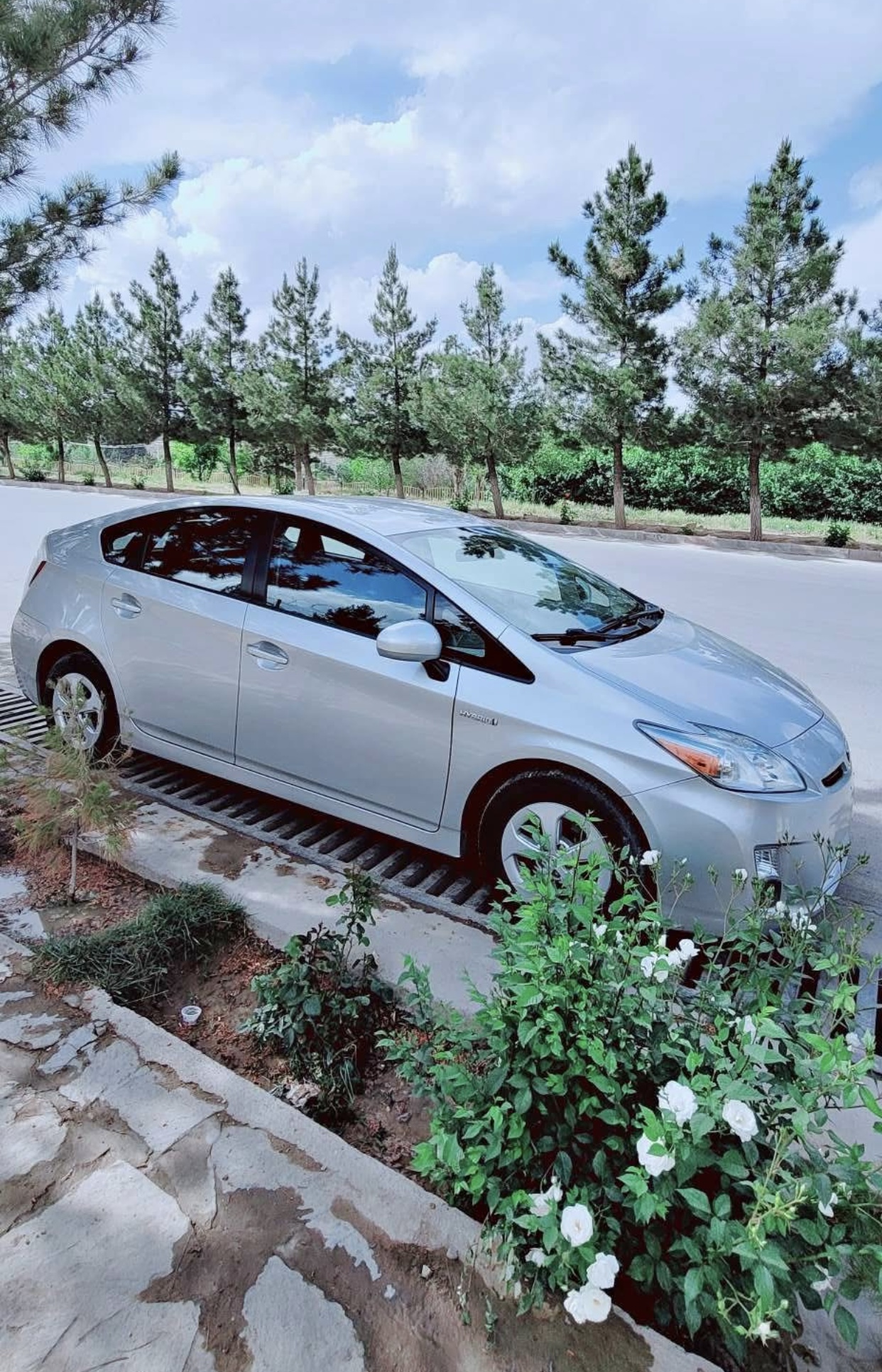 Prius Hybrid 2010
