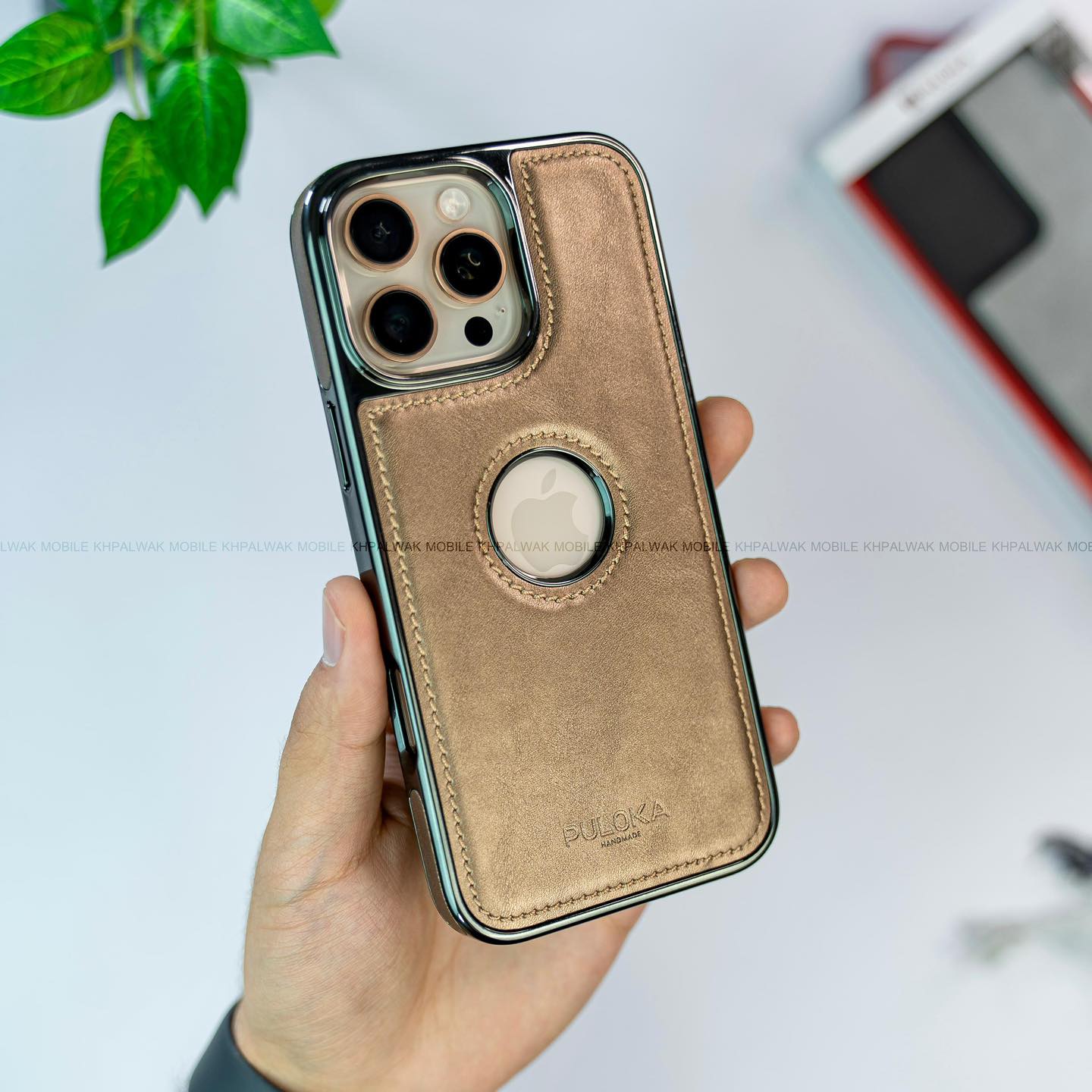 PULOKA_Case